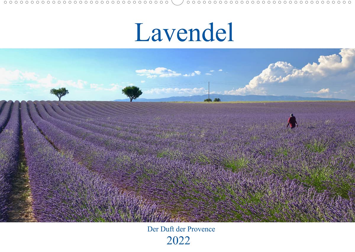 Lavendel. Der Duft der Provence (Wandkalender 2022 DIN A2 quer): Licht, Duft und Farbe: Lavendel verkörpert die Provence (Monatskalender, 14 Seiten ) (CALVENDO Natur) Leisure, Home & Garden