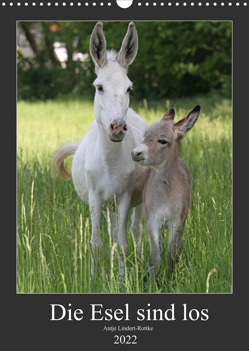 Die Esel sind los (Wandkalender 2022 DIN A3 hoch): Liebenswerte, pfiffige Nutztiere (Monatskalender, 14 Seiten ) (CALVENDO Tiere) Natural Sciences
