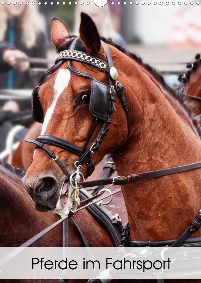 Pferde im Fahrsport (Wandkalender 2022 DIN A3 hoch): Fahrpferde im Viererzug vor dem Marathon-Wagen (Monatskalender, 14 Seiten ) (CALVENDO Tiere) Social Sciences