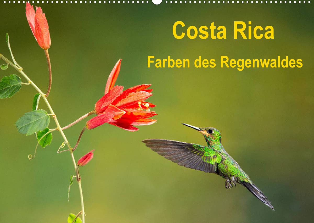 Costa Rica - Farben des Regenwaldes (Wandkalender 2022 DIN A2 quer): Farbenprächtige Bilder der Flora und Fauna Costa Ricas (Monatskalender, 14 Seiten ) (CALVENDO Orte) Photography