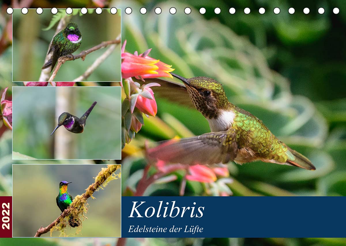 Kolibris - Edelsteine der Lüfte (Tischkalender 2022 DIN A5 quer): Die Kolibris von Costa Rica und Ecuador schwirren wie edelmetallisch glänzende ... (Monatskalender, 14 Seiten ) (CALVENDO Natur) Leisure, Home & Garden
