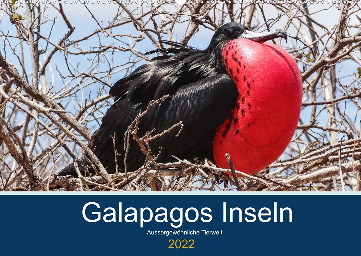 Tierwelt auf Galapagos (Wandkalender 2022 DIN A2 quer): Erleben Sie die aussergewöhnliche Vielfalt im Tierreich auf den Galapagos Inseln (Monatskalender, 14 Seiten ) (CALVENDO Tiere) Leisure, Home & Garden