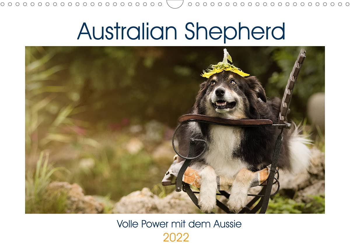 Australian Shepherd - volle Power mit dem Aussie (Wandkalender 2022 DIN A3 quer): Mit dem Aussie durch das ganze Jahr (Monatskalender, 14 Seiten ) (CALVENDO Tiere) Leisure, Home & Garden