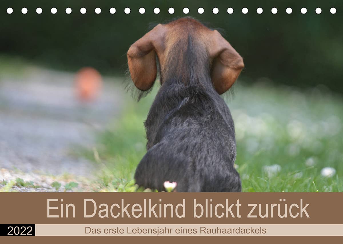 Ein Dackelkind blickt zurück (Tischkalender 2022 DIN A5 quer): Das spannende erste Jahr im Leben eines Rauhaardackel. (Monatskalender, 14 Seiten ) (CALVENDO Hobbys) Living & Furnishing