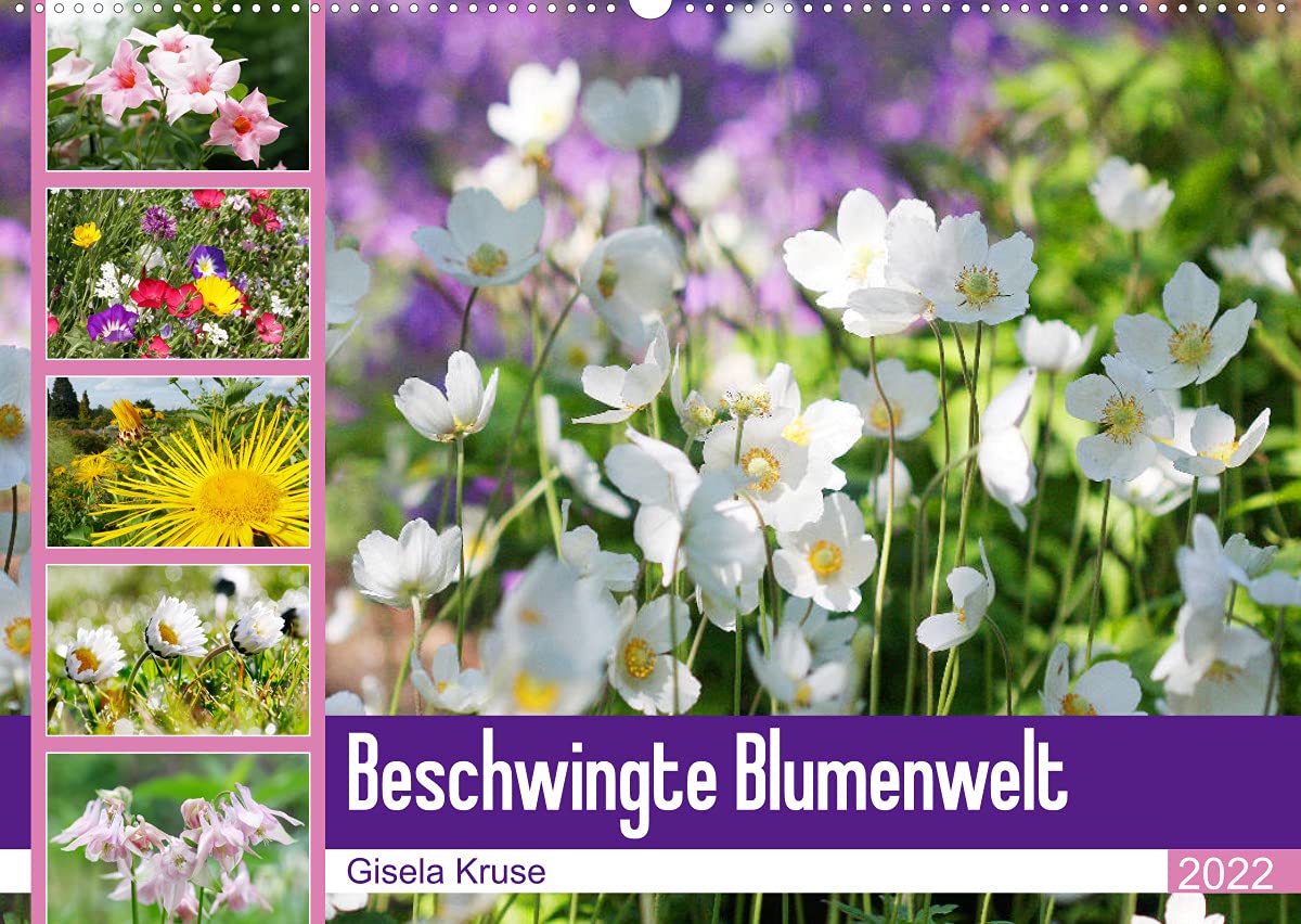 Beschwingte Blumenwelt (Wandkalender 2022 DIN A2 quer): Ein Blütentanz quer durch den Sommer (Monatskalender, 14 Seiten ) book