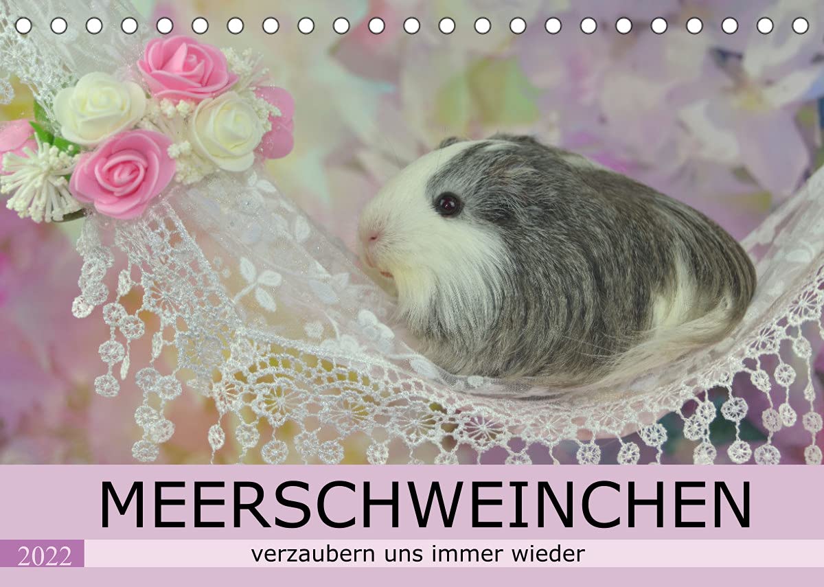 MEERSCHWEINCHEN verzaubern uns immer wieder (Tischkalender 2022 DIN A5 quer): Bezaubernde Meerschweinchen von ihrer besonderen Seite fotografiert (Monatskalender, 14 Seiten ) (CALVENDO Tiere) Leisure, Home & Garden