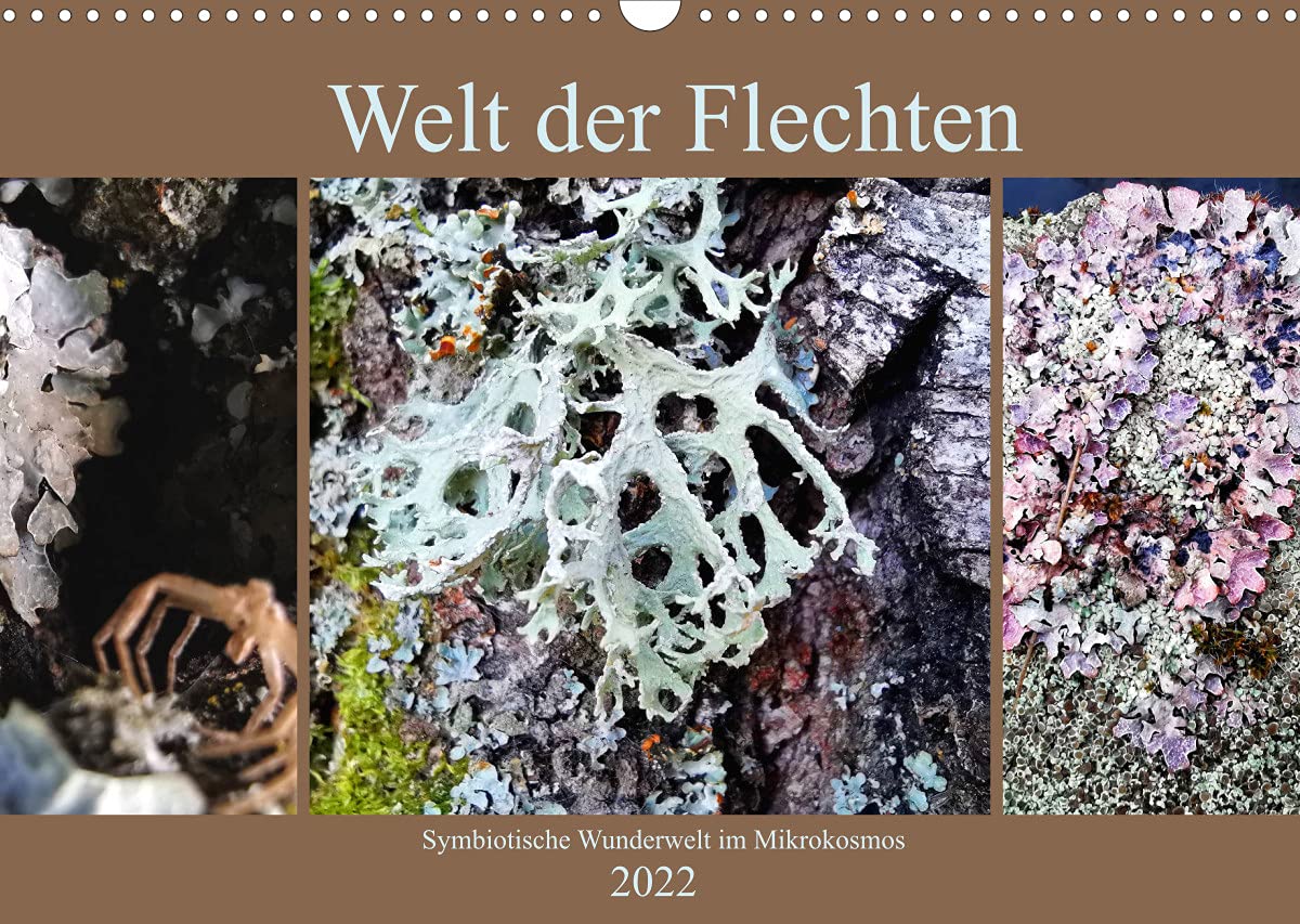 Welt der Flechten (Wandkalender 2022 DIN A3 quer): Die Vielfalt von Farben und abstrakten Formen dieser symbiotischen Lebensgemeinschaften erscheint ... (Monatskalender, 14 Seiten ) (CALVENDO Natur) Leisure, Home & Garden