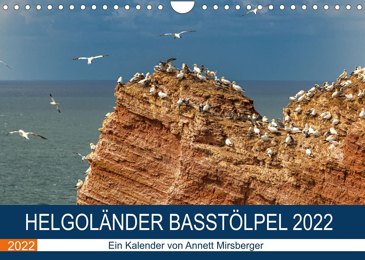 Helgoländer Basstölpel 2022 (Wandkalender 2022 DIN A4 quer): Wundervolle Schönheit der Basstölpel auf dem Roten Felsen (Monatskalender, 14 Seiten ) (CALVENDO Tiere) Leisure, Home & Garden