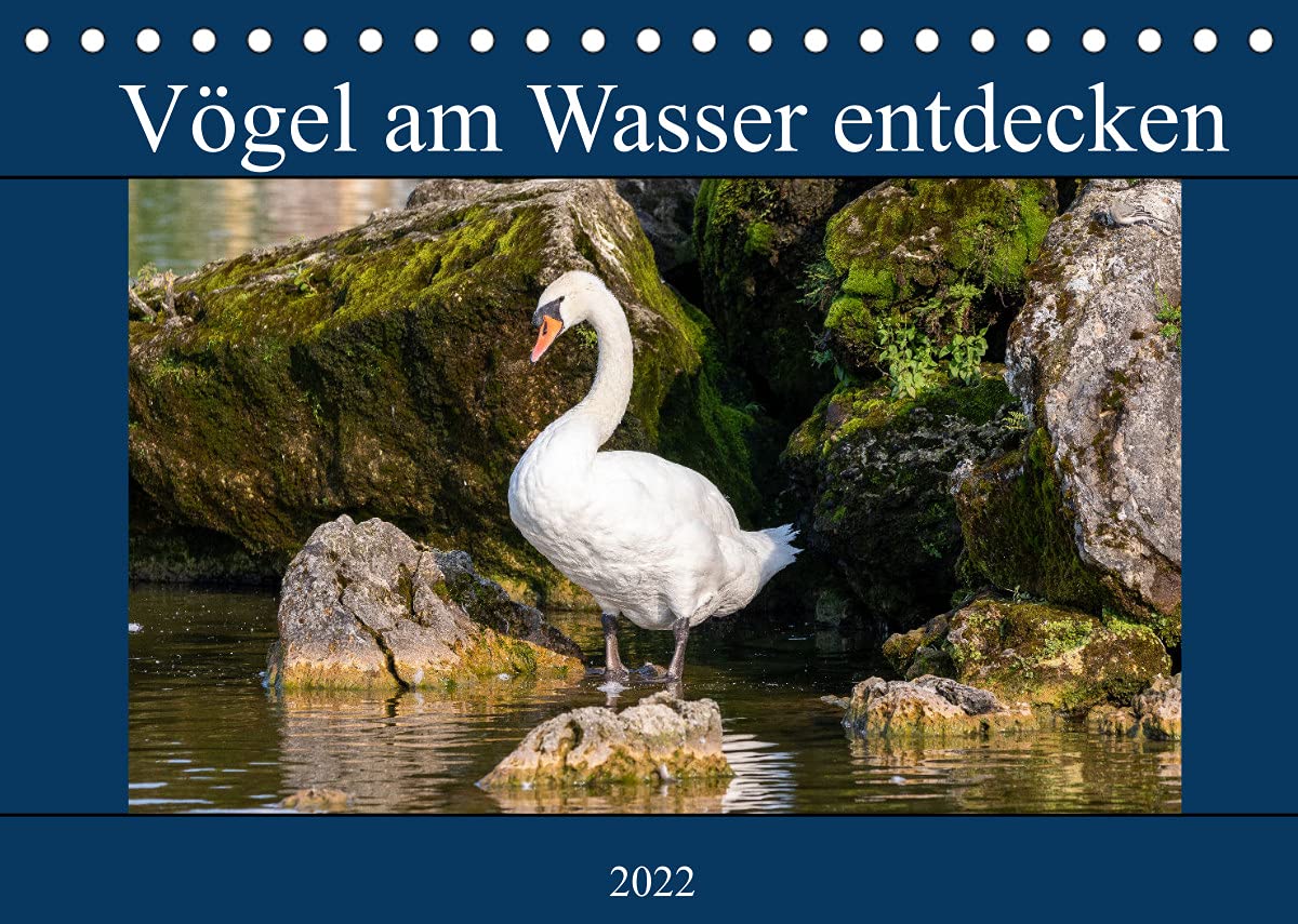 Vögel am Wasser entdecken (Tischkalender 2022 DIN A5 quer): Unterwegs zwischen Enten, Gänsen und Schwänen (Monatskalender, 14 Seiten ) (CALVENDO Tiere) Living & Furnishing
