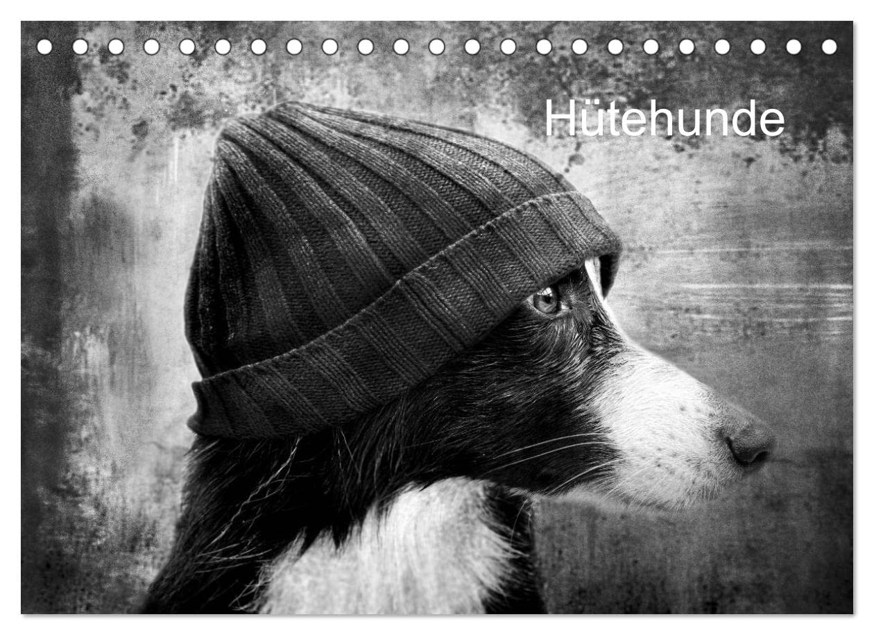 Hütehunde (Tischkalender 2023 DIN A5 quer): Ein humorvoller Kalender für den Hundefreund (Monatskalender, 14 Seiten ) (CALVENDO Tiere) Photography