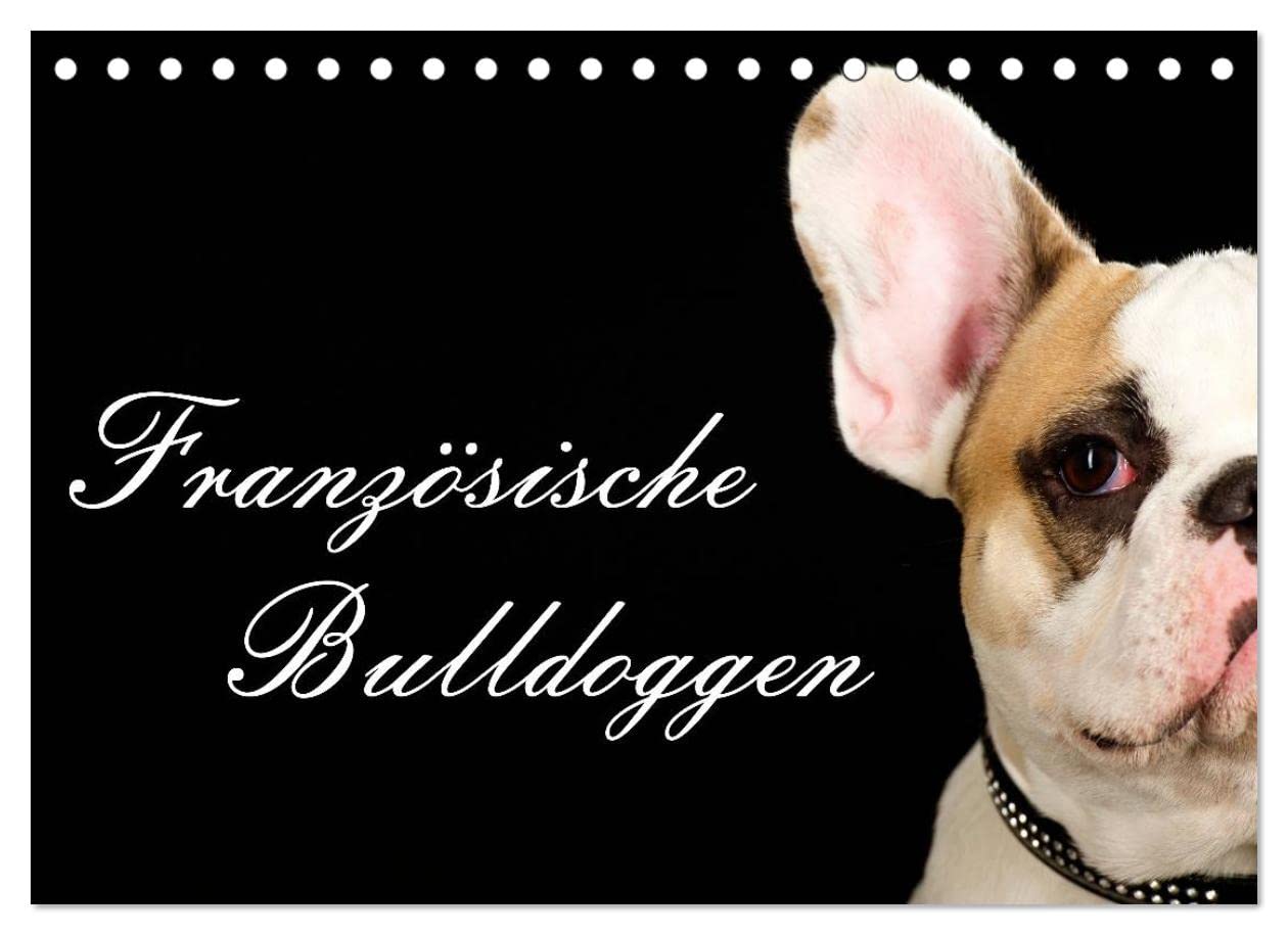 Französische Bulldoggen (Tischkalender 2023 DIN A5 quer): 13 Motive einer wunderbaren Hunderasse - Die Französische Bulldogge (Monatskalender, 14 Seiten ) (CALVENDO Tiere) Calendars