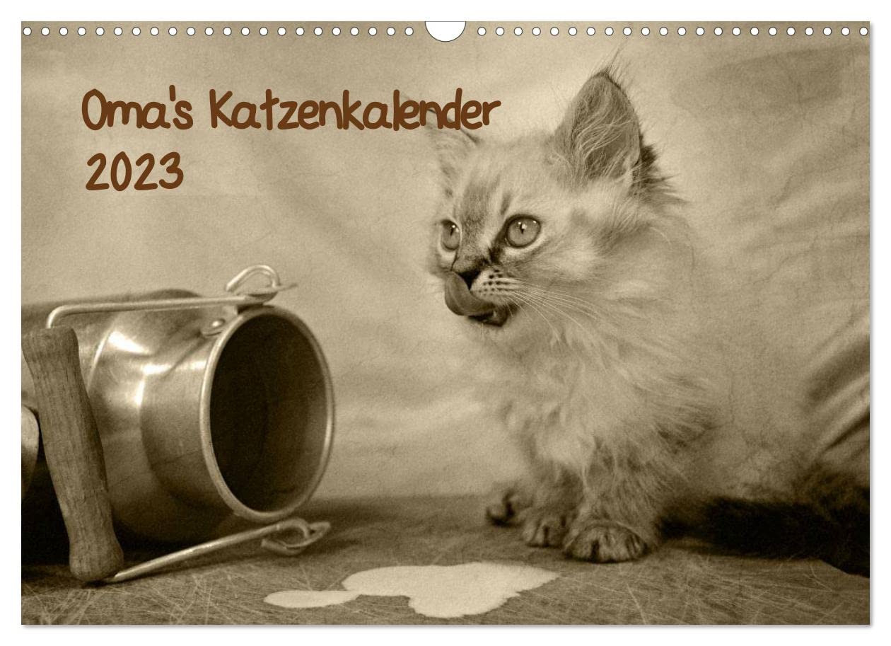 Oma's Katzenkalender 2023 (Wandkalender 2023 DIN A3 quer): Tolle Fotos erinnern an die gute, alte Zeit. (Monatskalender, 14 Seiten ) (CALVENDO Tiere) Leisure, Home & Garden
