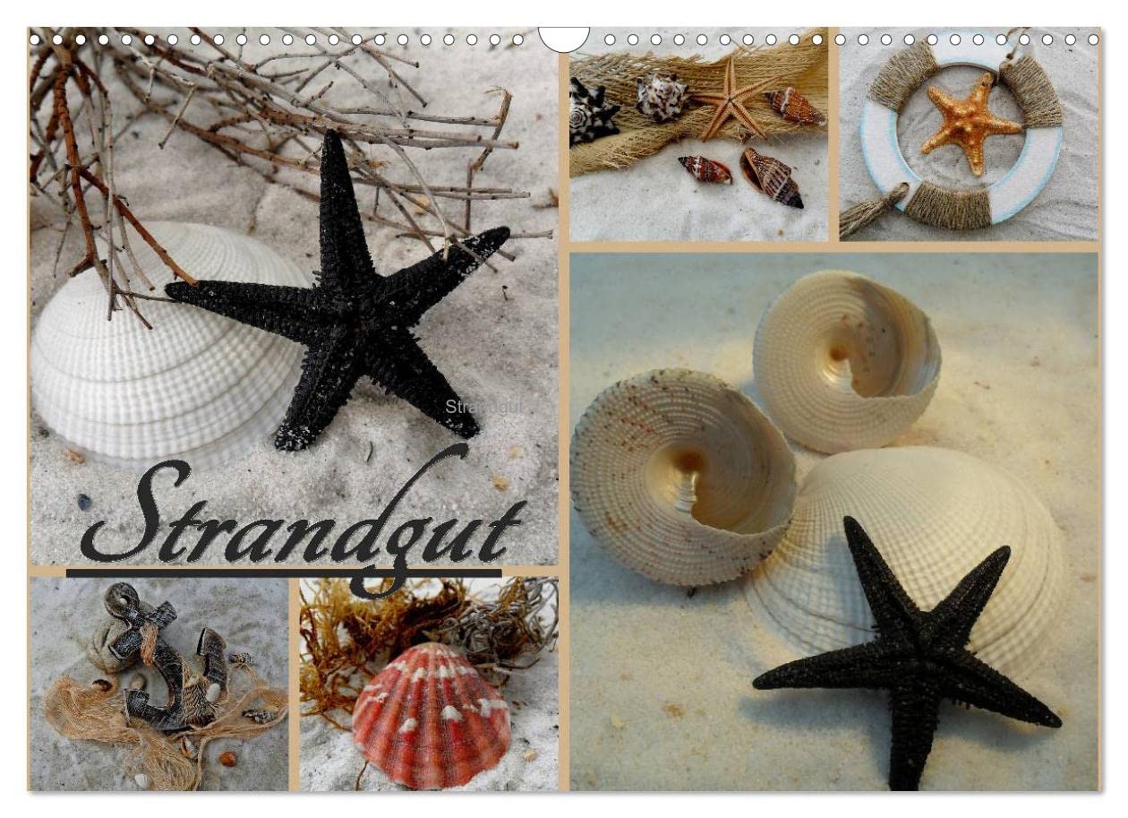Strandgut (Wandkalender 2023 DIN A3 quer): Muscheln und Seesterne, liebevoll in Szene gesetzt. (Monatskalender, 14 Seiten ) Leisure, Home & Garden