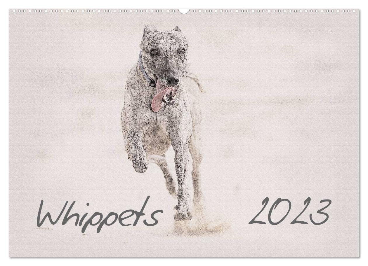 Whippet 2023 (Wandkalender 2023 DIN A2 quer): Whippets - Wunderschön gestalteter Kalender. Jedes Monatsmotiv gleicht einem kleinen Kunstwerk. (Monatskalender, 14 Seiten ) (CALVENDO Tiere) Photography