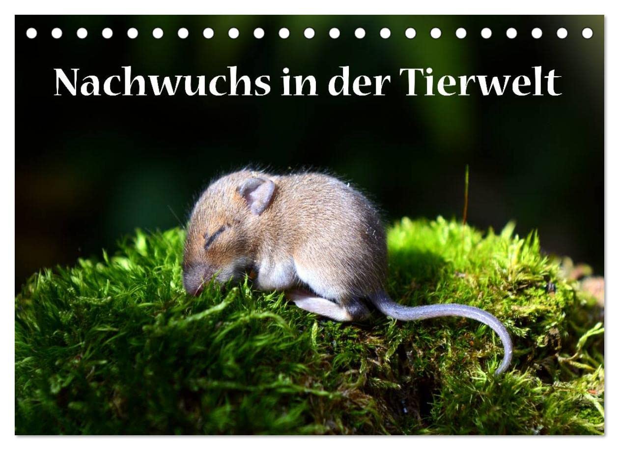 Nachwuchs in der Tierwelt (Tischkalender 2023 DIN A5 quer): Tierkinder - sie zaubern ein Lächeln in jedes Gesicht (Monatskalender, 14 Seiten ) (CALVENDO Tiere) Calendars