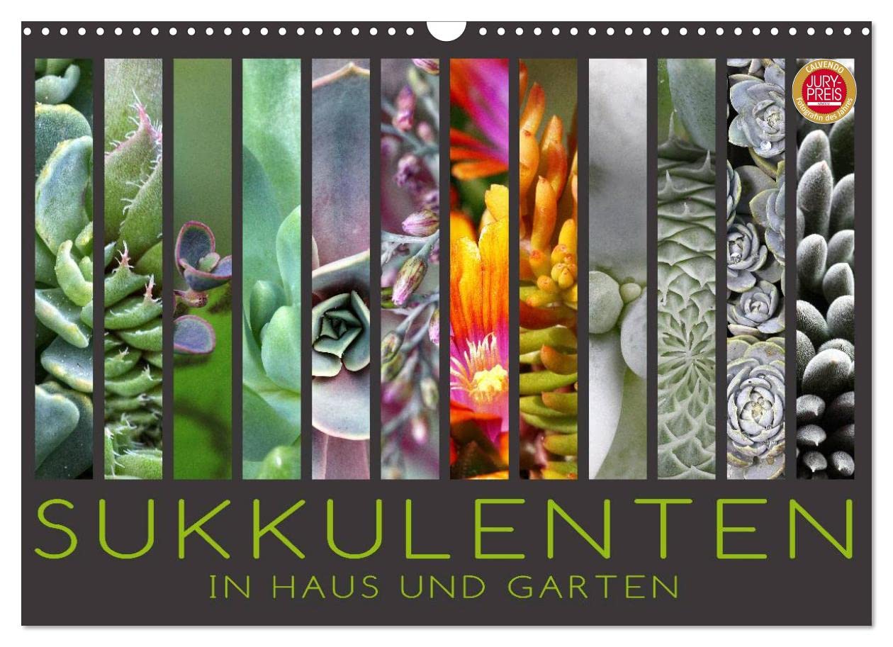 Sukkulenten in Haus und Garten (Wandkalender 2023 DIN A3 quer): Wunderbare Sukkulenten Portraits, drinnen und draußen (Monatskalender, 14 Seiten ) (CALVENDO Natur) Leisure, Home & Garden