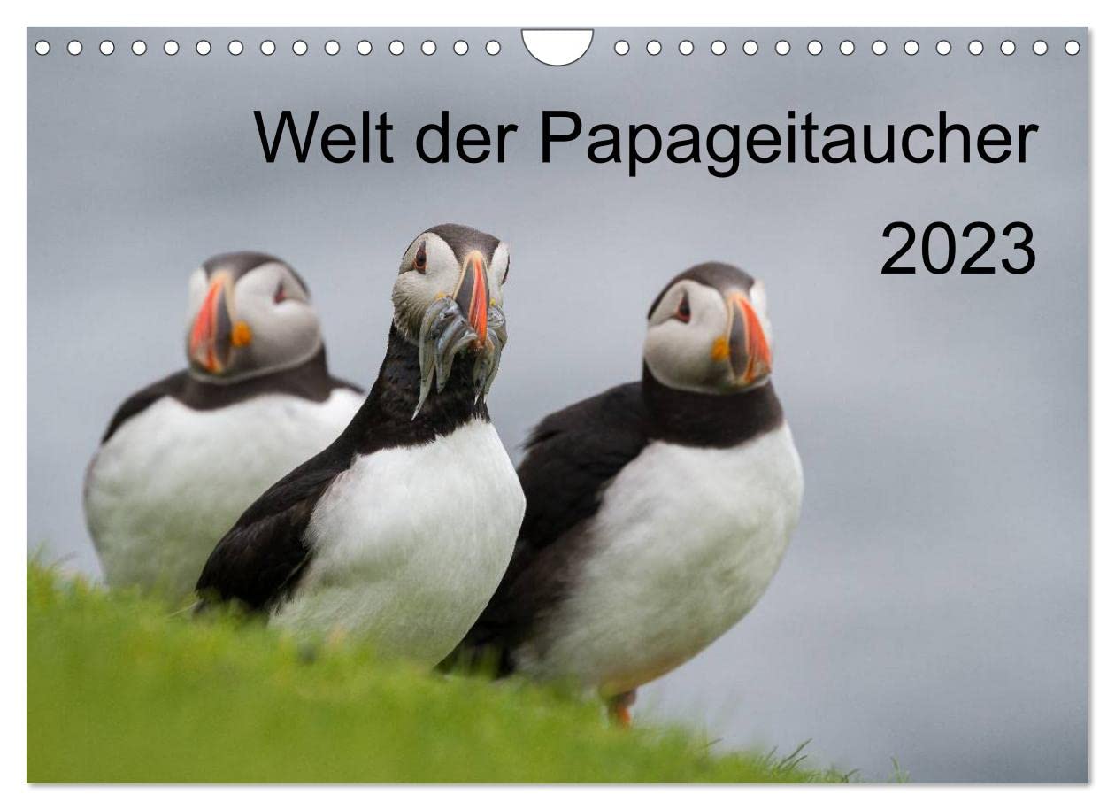 Welt der Papageitaucher (Wandkalender 2023 DIN A4 quer): 13 faszinierende Portrait- und Lebensraumaufnahmen dieser schwarz-weissen Vögel mit dem ... (Monatskalender, 14 Seiten ) (CALVENDO Natur) Leisure, Home & Garden