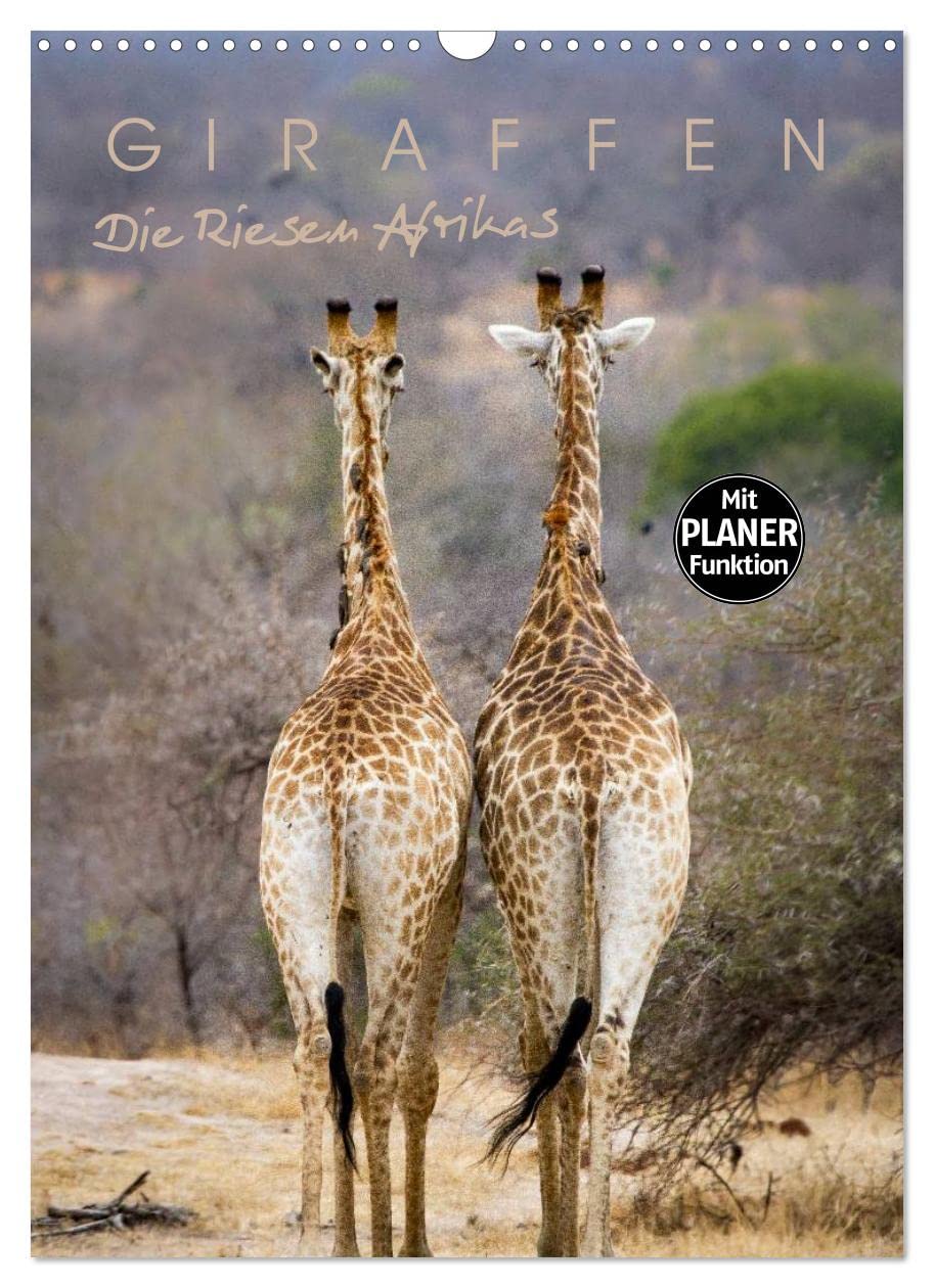 Giraffen - Die Riesen Afrikas (Wandkalender 2023 DIN A3 hoch): So riesig und doch so grazil, faszinierende Giraffen Afrikas. (Planer, 14 Seiten ) (CALVENDO Tiere) Leisure, Home & Garden