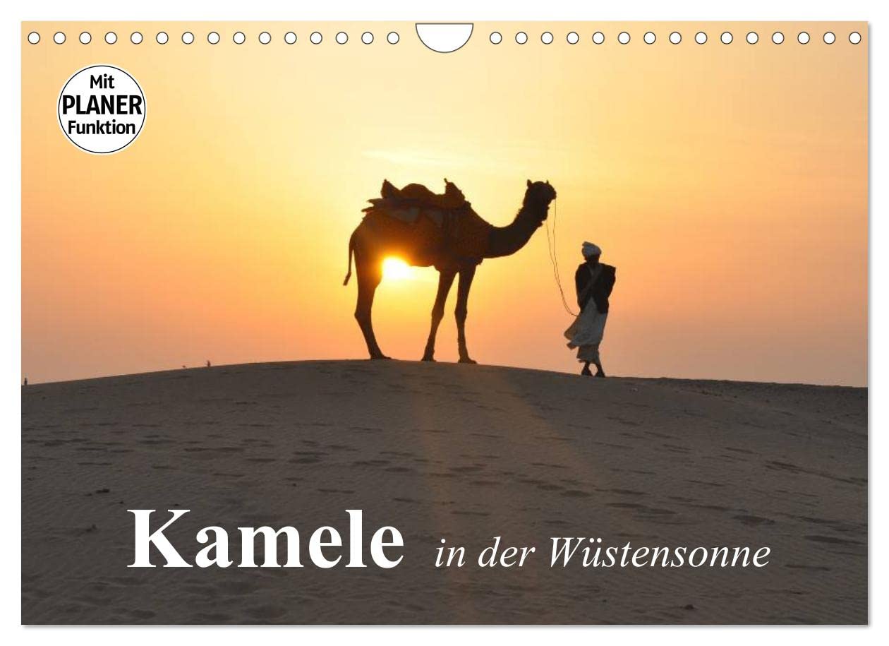 Kamele in der Wüstensonne (Wandkalender 2023 DIN A4 quer): Faszinierende Wüstentiere mit besonderen Fähigkeiten (Geburtstagskalender, 14 Seiten ) (CALVENDO Tiere) Living & Furnishing