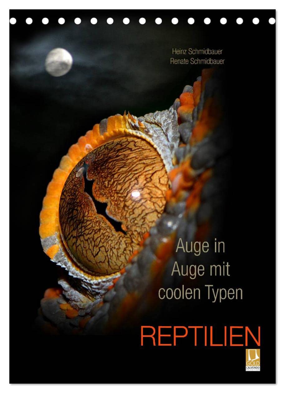 Auge in Auge mit coolen Typen - REPTILIEN (Tischkalender 2023 DIN A5 hoch): Imposante Porträtaufnahmen von wunderschönen Reptilien. Liebevoll ... (Monatskalender, 14 Seiten ) (CALVENDO Tiere) Photography