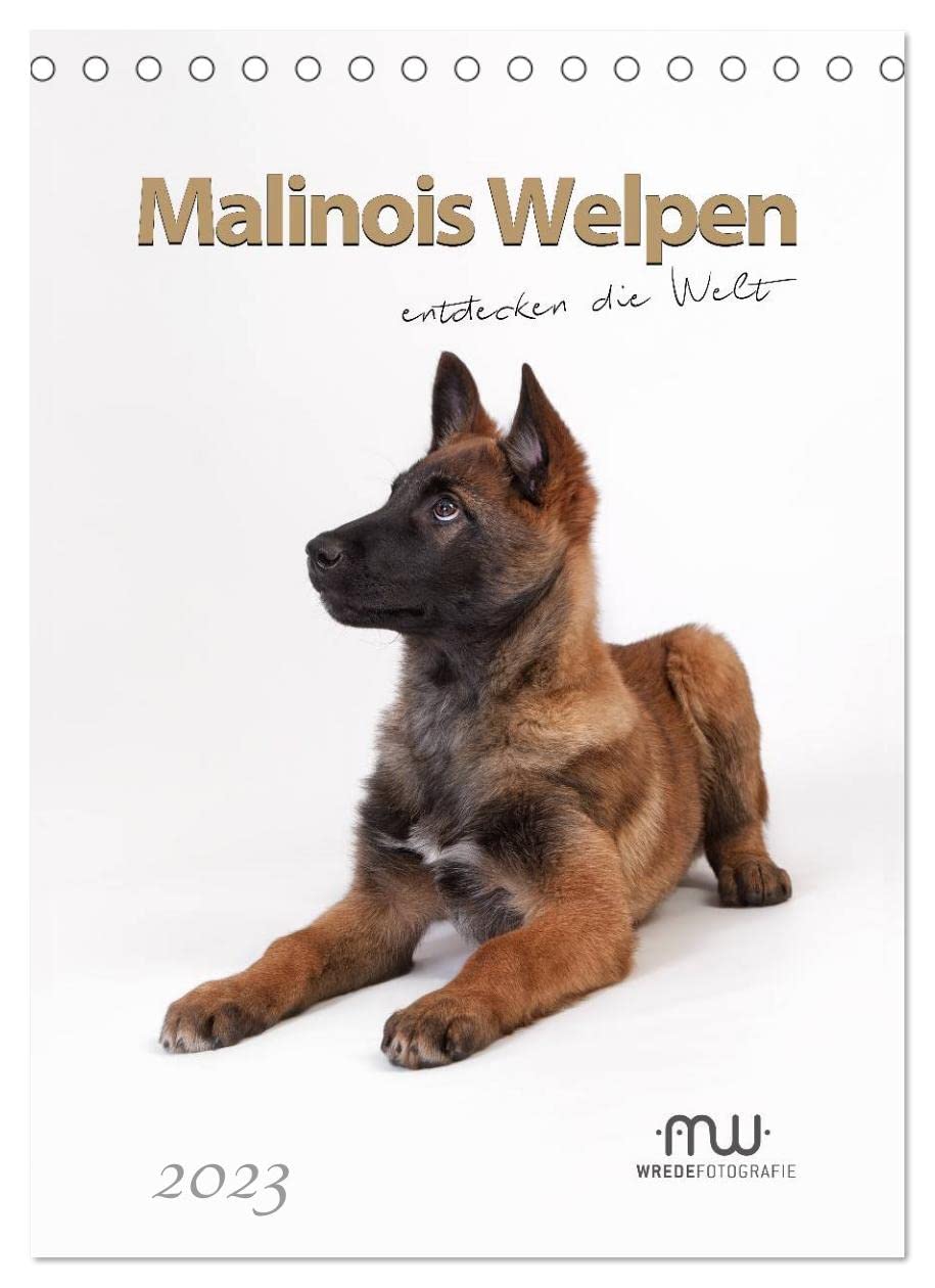 Malinois Welpen entdecken die Welt (Tischkalender 2023 DIN A5 hoch): Zauberhafte Welpenfotos begleiten Sie durch das Jahr (Planer, 14 Seiten ) (CALVENDO Tiere) Film, Art & Culture