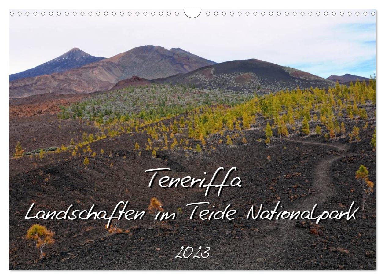 Teneriffa - Landschaften im Teide Nationalpark (Wandkalender 2023 DIN A3 quer): Abwechslungsreiche Natur im Teide Nationalpark (Monatskalender, 14 Seiten ) (CALVENDO Natur) Photography