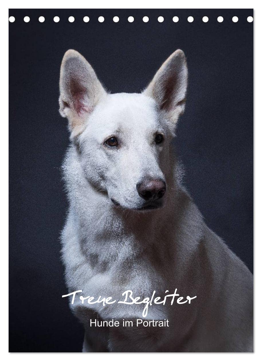 Treue Wegbegleiter, Hunde im Portrait. (Tischkalender 2023 DIN A5 hoch): Treue Wegbegleiter, ausdrucksstarke Hunde im Portrait. Monatlich ein neues, ... (Monatskalender, 14 Seiten ) (CALVENDO Tiere) Photography