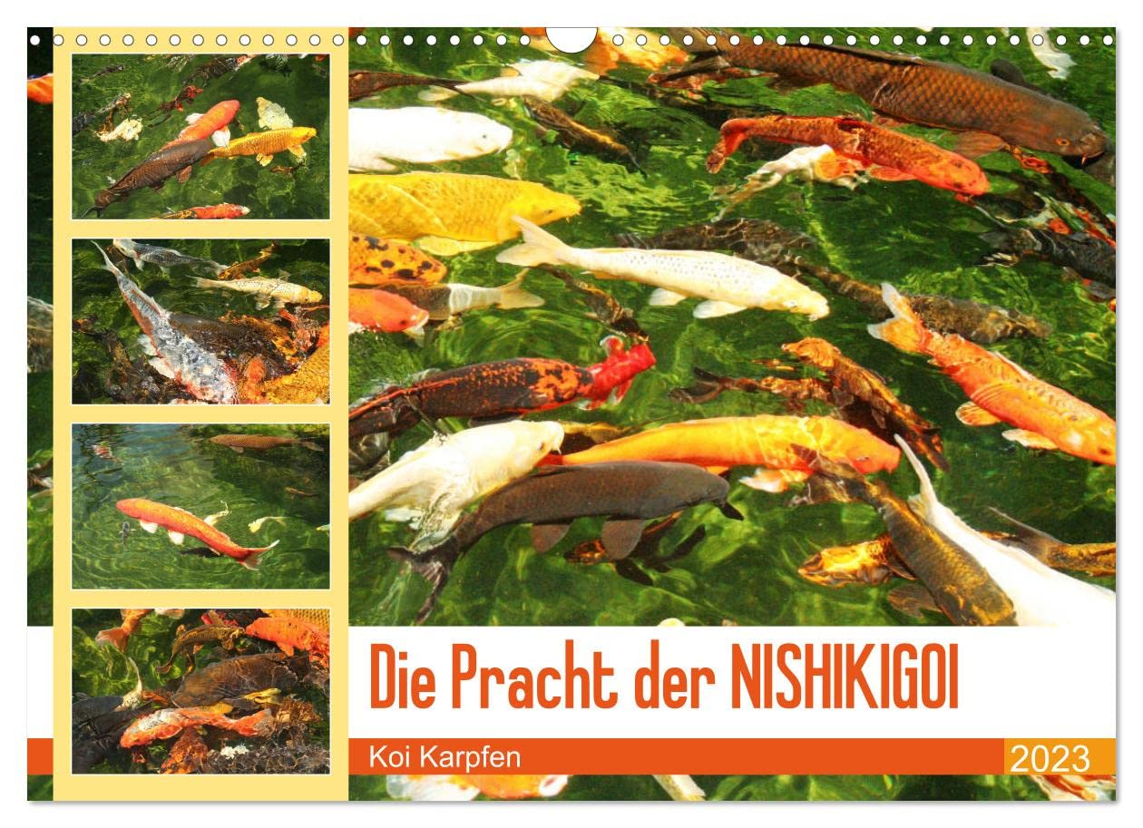 Die Pracht der NISHIKIGOI - Koi Karpfen (Wandkalender 2023 DIN A3 quer): Die Juwelen im Karpfenteich. (Monatskalender, 14 Seiten ) (CALVENDO Tiere) Natural Sciences