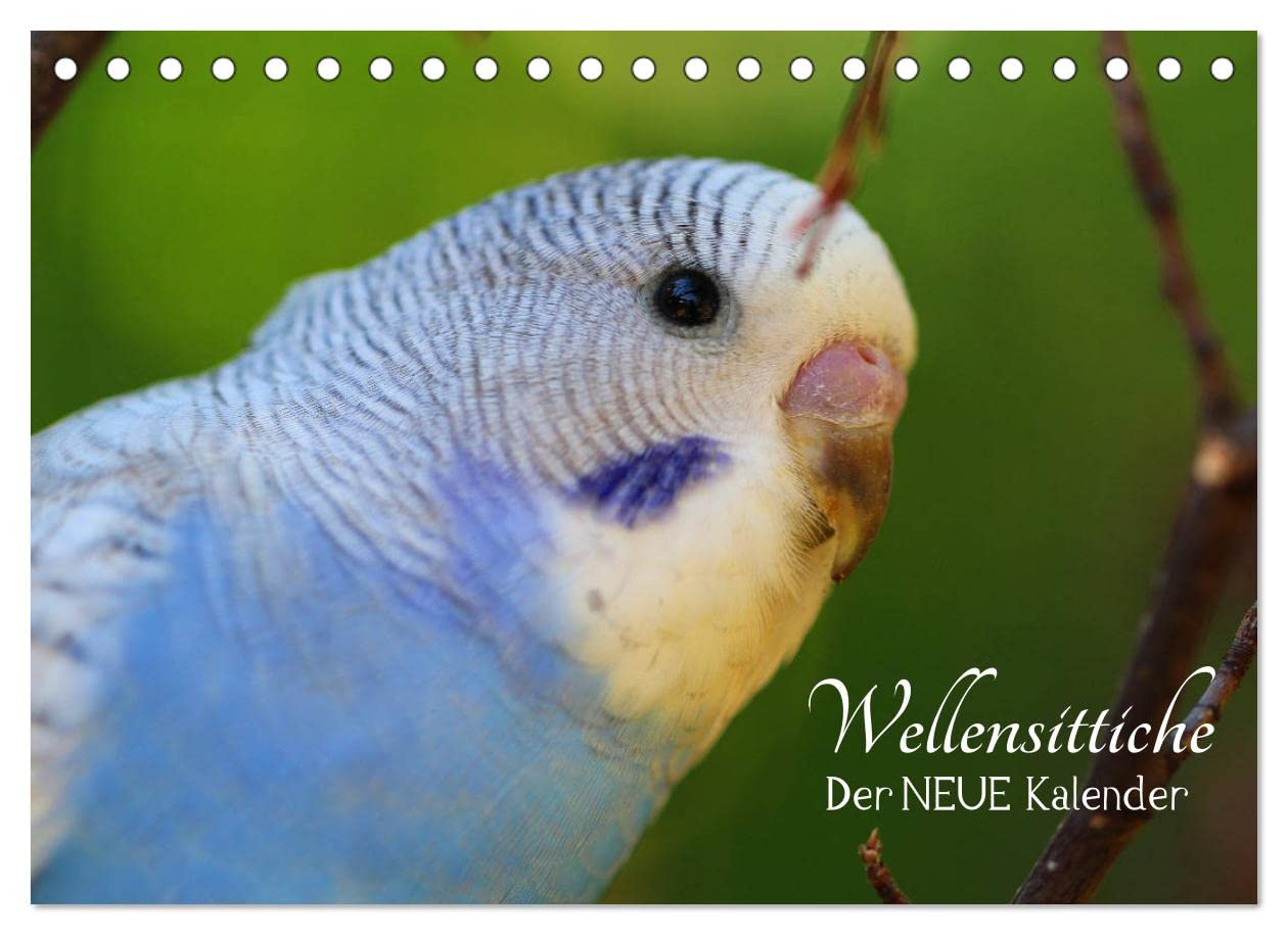 Wellensittiche - der NEUE Kalender (Tischkalender 2023 DIN A5 quer): Ein prachtvolles Titelbild und zwölf herzergreifende Fotos süßer Wellensittiche ... (Monatskalender, 14 Seiten ) (CALVENDO Tiere) Photography