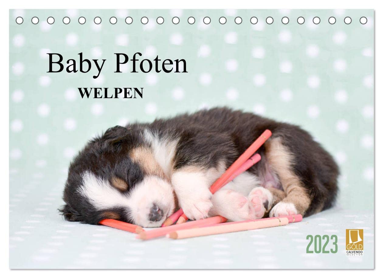 Baby Pfoten (Tischkalender 2023 DIN A5 quer): Welpen in ihren ersten Lebenswochen liebevoll in Szene gesetzt (Monatskalender, 14 Seiten ) (CALVENDO Tiere) Calendars