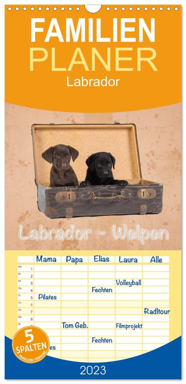 Familienplaner Labrador - Welpen (Wandkalender 2023 , 21 cm x 45 cm, hoch): Wandkalender Labrador - Welpen (Monatskalender, 14 Seiten ) (CALVENDO Tiere) Living & Furnishing