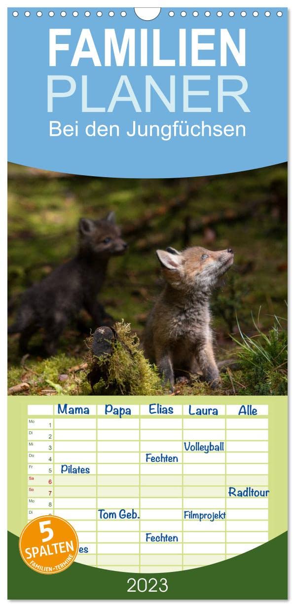 Familienplaner Bei den Jungfüchsen (Wandkalender 2023 , 21 cm x 45 cm, hoch): Zwei Fuchsfamilien an einem Naturbau mit interessanten Begegnungen (Monatskalender, 14 Seiten ) (CALVENDO Tiere) Film, Art & Culture
