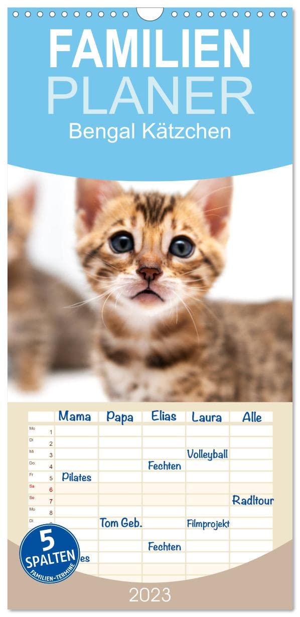 Familienplaner Bengal Kätzchen (Wandkalender 2023 , 21 cm x 45 cm, hoch): Wundervolle Momente von Bengalkitten eingefangen. (Monatskalender, 14 Seiten ) (CALVENDO Tiere) Natural Sciences