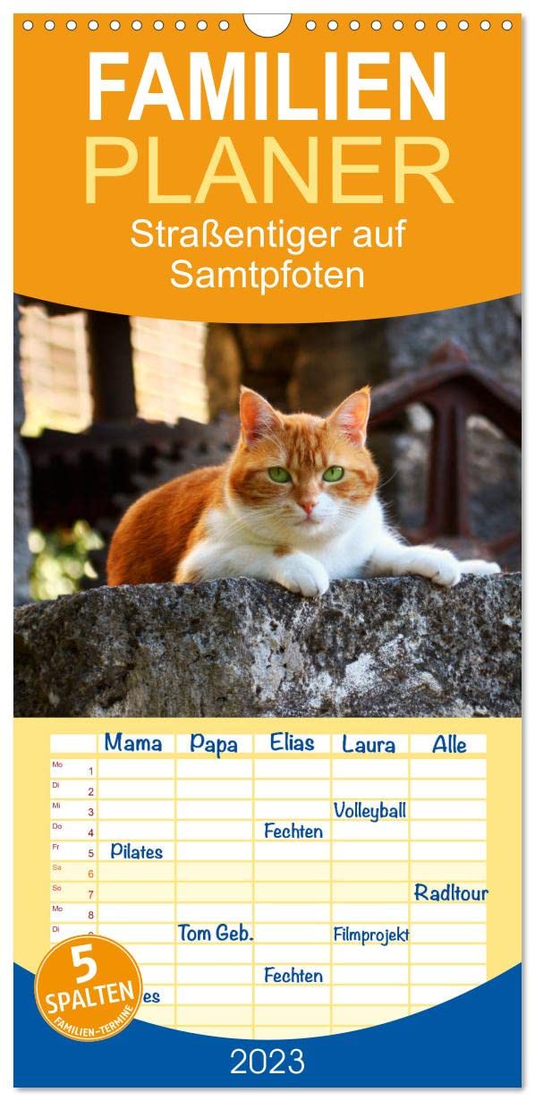 Familienplaner Straßentiger auf Samtpfoten (Wandkalender 2023 , 21 cm x 45 cm, hoch): Schöne Fotos von draußen lebenden Hauskatzen (Monatskalender, 14 Seiten ) (CALVENDO Tiere) Pets