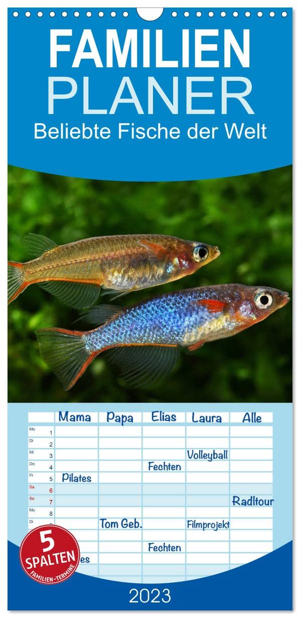 Familienplaner Beliebte Fische der Welt (Wandkalender 2023 , 21 cm x 45 cm, hoch): Farbenprächtige Süßwasserfische (Monatskalender, 14 Seiten ) (CALVENDO Tiere) Natural Sciences