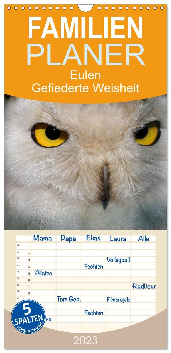 Familienplaner Eulen. Gefiederte Weisheit (Wandkalender 2023 , 21 cm x 45 cm, hoch): Bernsteinaugen die man selten zu Gesicht bekommt (Monatskalender, 14 Seiten ) (CALVENDO Tiere) Living & Furnishing