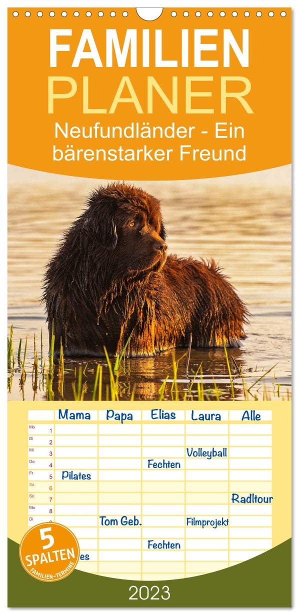 Familienplaner Neufundländer - Ein bärenstarker Freund (Wandkalender 2023 , 21 cm x 45 cm, hoch): Der braune Neufundländer in 13 hinreißenden Bildern ... (Monatskalender, 14 Seiten ) (CALVENDO Tiere) Natural Sciences
