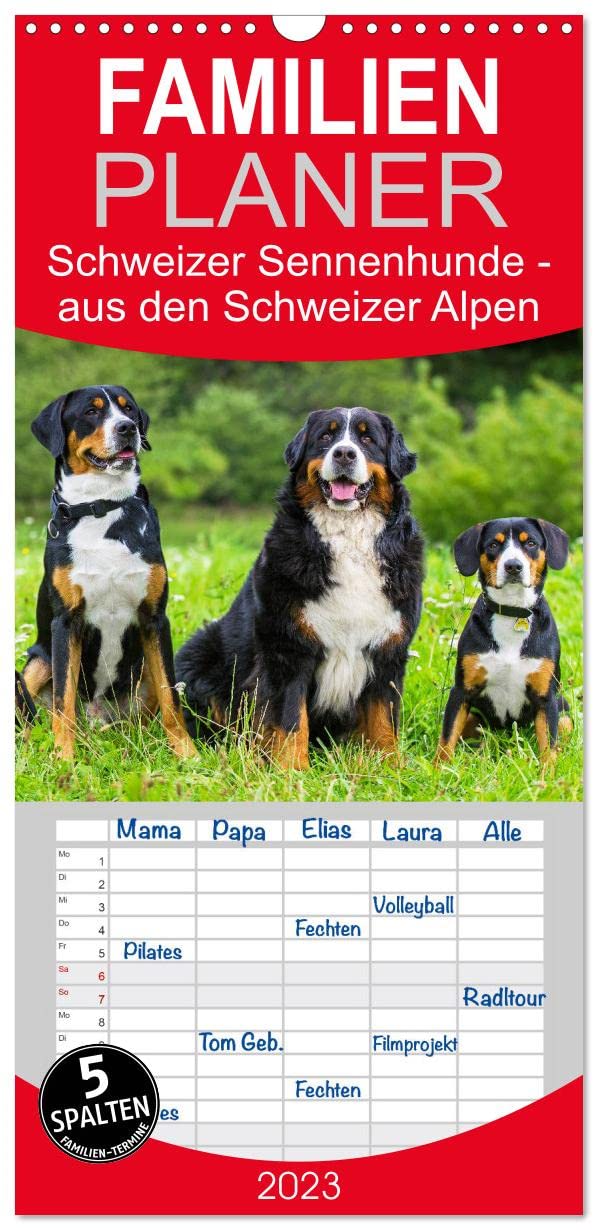 Familienplaner Schweizer Sennenhunde - aus den Schweizer Alpen (Wandkalender 2023 , 21 cm x 45 cm, hoch): Schweizer Sennenhunde in 13 faszinierenden ... (Monatskalender, 14 Seiten ) (CALVENDO Tiere) Natural Sciences