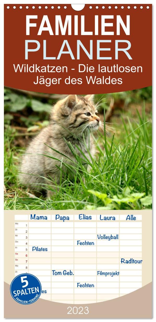 Familienplaner Wildkatzen - Die lautlosen Jäger des Waldes (Wandkalender 2023 , 21 cm x 45 cm, hoch): In unseren Wäldern ist die Wildkatze wieder zuhause (Monatskalender, 14 Seiten ) (CALVENDO Tiere) Living & Furnishing