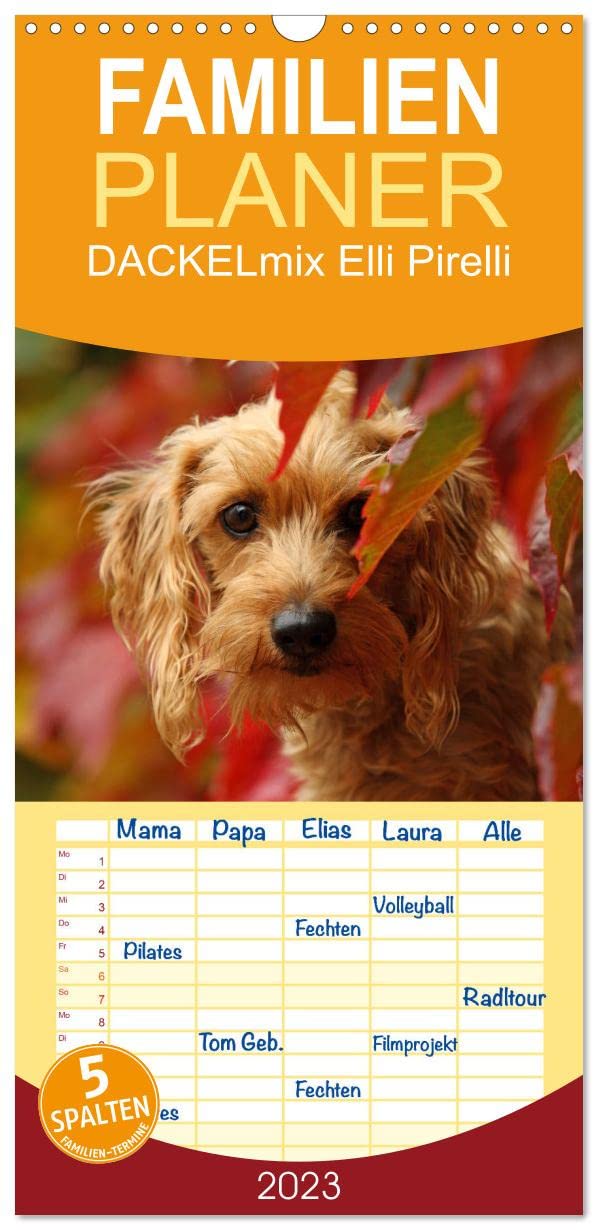 Familienplaner DACKELmix Elli Pirelli (Wandkalender 2023 , 21 cm x 45 cm, hoch): ....mit neuen Abenteuern aus der Hundeknipserei (Monatskalender, 14 Seiten ) (CALVENDO Tiere) Photography