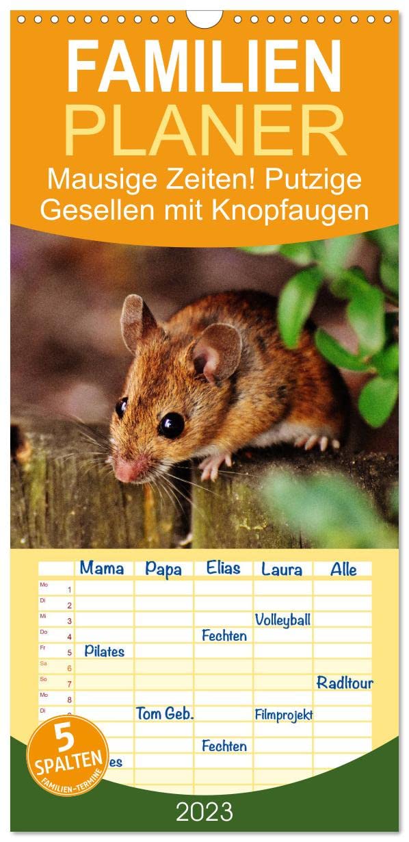 Familienplaner Mausige Zeiten! Putzige Gesellen mit Knopfaugen (Wandkalender 2023 , 21 cm x 45 cm, hoch): Niedliche Farbmäuse und wilde Artgenossen (Monatskalender, 14 Seiten ) (CALVENDO Tiere) Living & Furnishing