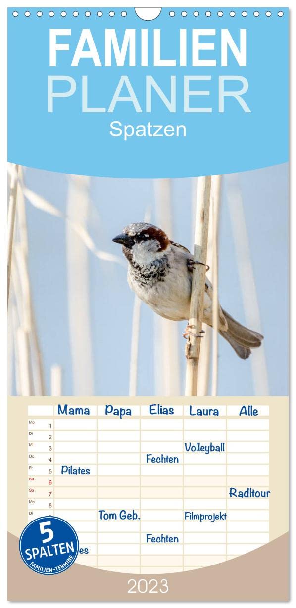 Familienplaner Spatzen (Wandkalender 2023 , 21 cm x 45 cm, hoch): Mit Spatzen durch das Jahr (Monatskalender, 14 Seiten ) (CALVENDO Tiere) Photography