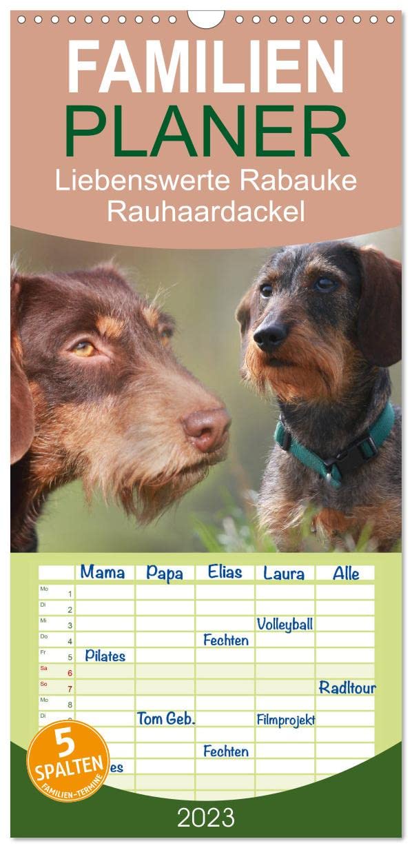 Familienplaner Liebenswerte Rabauken - Rauhaardackel (Wandkalender 2023 , 21 cm x 45 cm, hoch): Rauhaardackel sind einfach liebenswerte Rabauken (Monatskalender, 14 Seiten ) (CALVENDO Tiere) Social Sciences