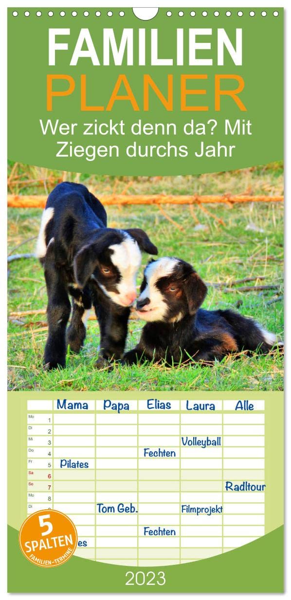 Familienplaner Wer zickt denn da? Mit Ziegen durchs Jahr (Wandkalender 2023 , 21 cm x 45 cm, hoch): Freche Ziegen auf Wiesen und Weiden (Monatskalender, 14 Seiten ) (CALVENDO Tiere) Lifestyle