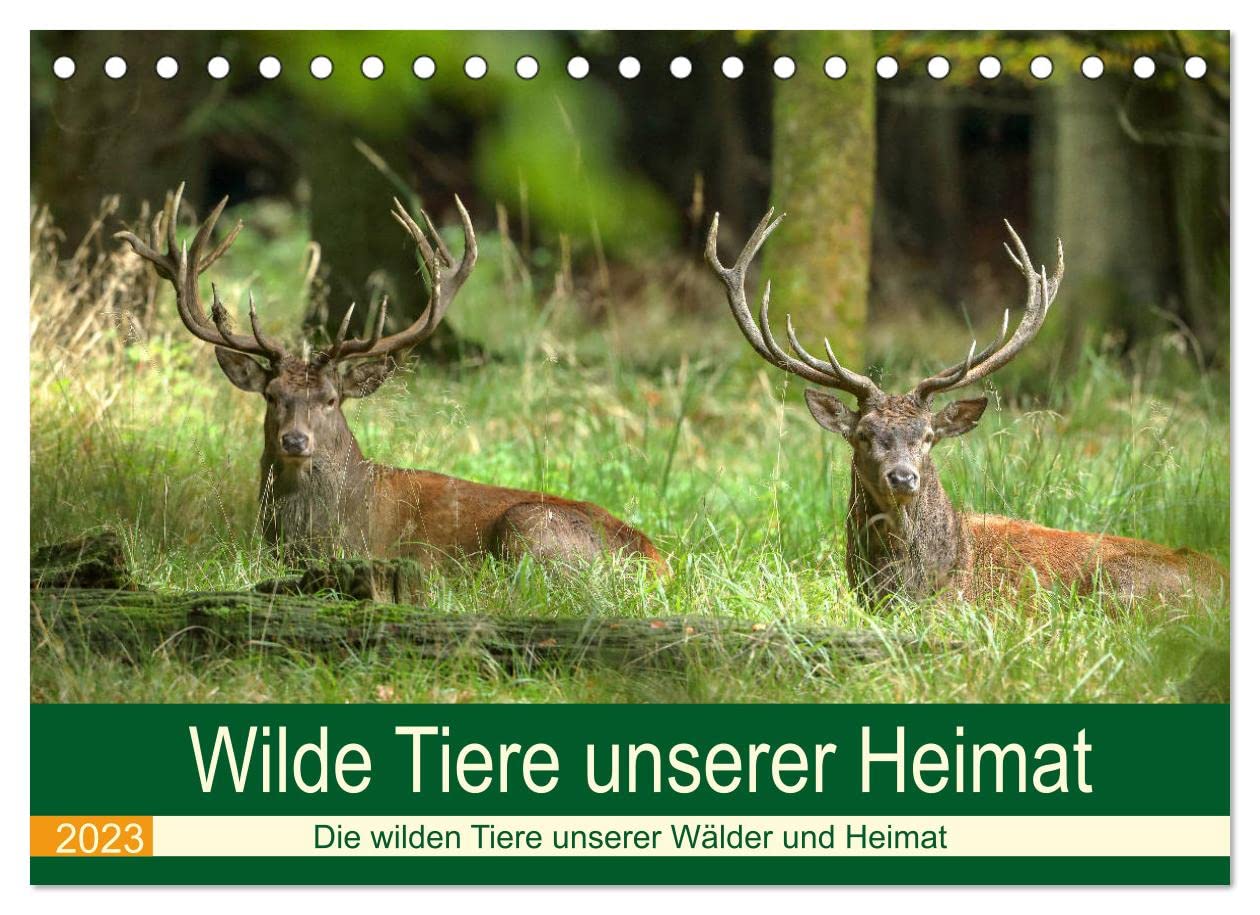 Wilde Tiere unserer Heimat (Tischkalender 2023 DIN A5 quer): Die wilden Tiere in Deutschlands Wäldern, an der Küste und in unserem Kulturland (Monatskalender, 14 Seiten ) (CALVENDO Tiere) Natural Sciences