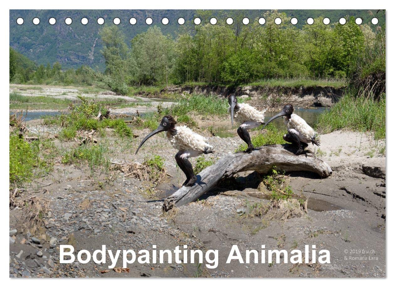 Bodypainting AnimaliaCH-Version (Tischkalender 2023 DIN A5 quer): Shapeshifting des Models Romana Lara (Monatskalender, 14 Seiten ) (CALVENDO Kunst) Leisure, Home & Garden