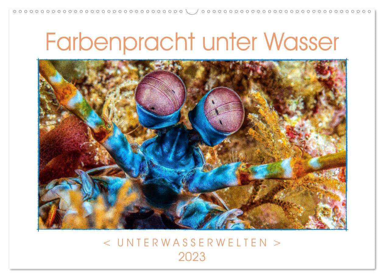 Farbenpracht unter Wasser (Wandkalender 2023 DIN A2 quer): Ein Kalender mir farbstarken und ausdrucksvollen Aufnahmen aus der tropischen Unterwasserwelt. (Monatskalender, 14 Seiten ) (CALVENDO Tiere) Photography