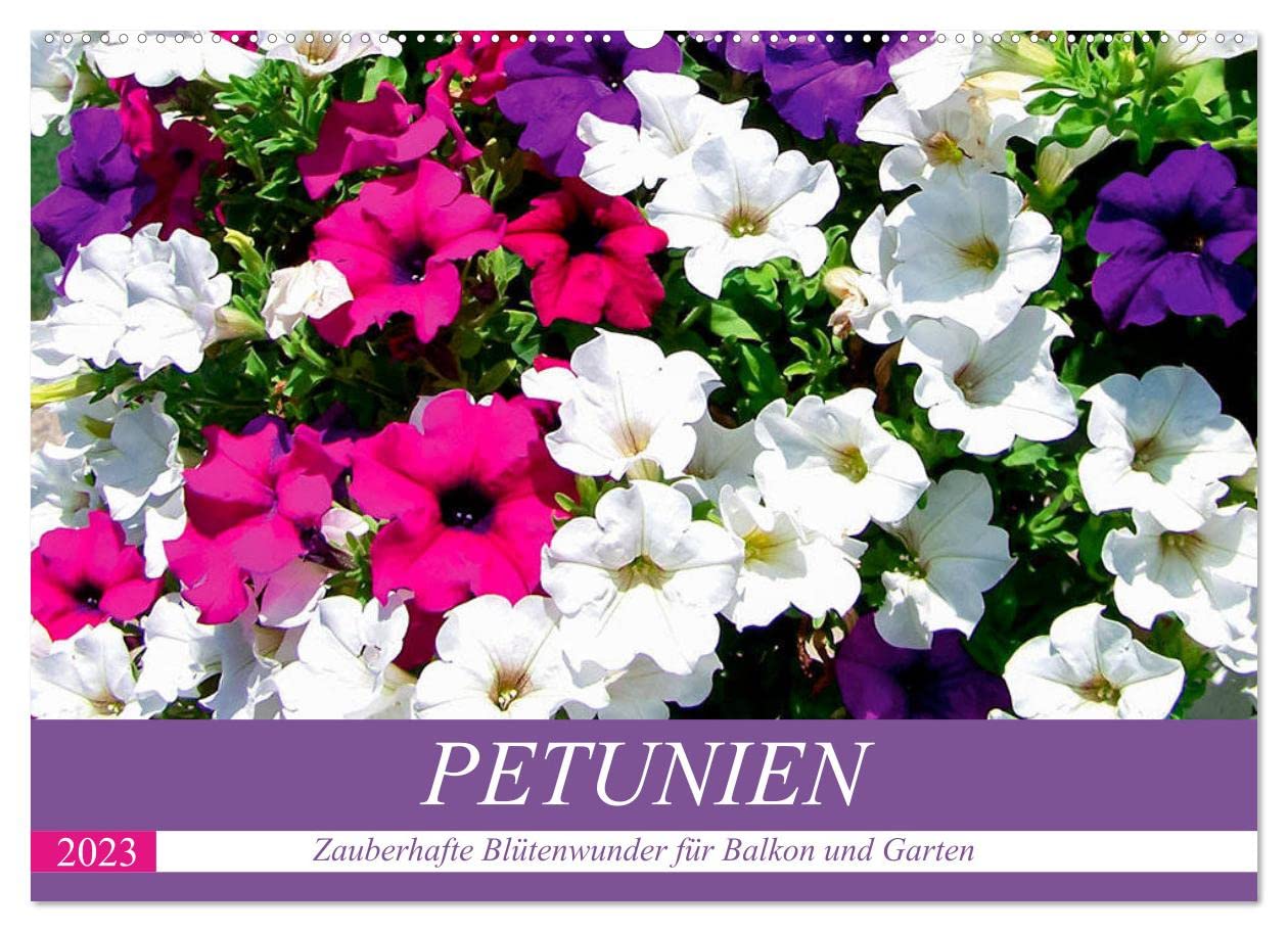Petunien. Zauberhafte Blütenwunder für Balkon und Garten (Wandkalender 2023 DIN A2 quer): Die unermüdlich blühenden Sonnenanbeterinnen in wundervollen ... (Monatskalender, 14 Seiten ) (CALVENDO Natur) Living & Furnishing