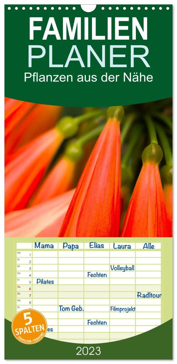 Familienplaner Pflanzen aus der Nähe (Wandkalender 2023 , 21 cm x 45 cm, hoch): Faszinierende Nahaufnahmen aus der Pflanzenwelt (Monatskalender, 14 Seiten ) (CALVENDO Natur) Leisure, Home & Garden