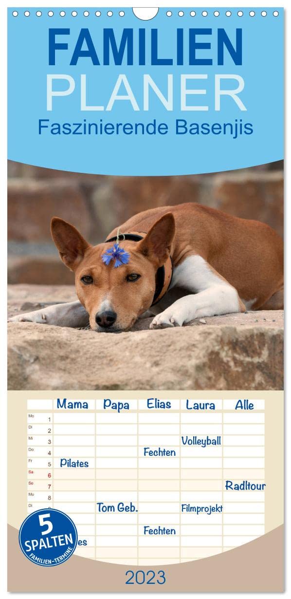 Familienplaner Faszinierende Basenjis (Wandkalender 2023 , 21 cm x 45 cm, hoch): Beeindruckende Fotos der Rasse Basenjis (Monatskalender, 14 Seiten ) (CALVENDO Tiere) Photography